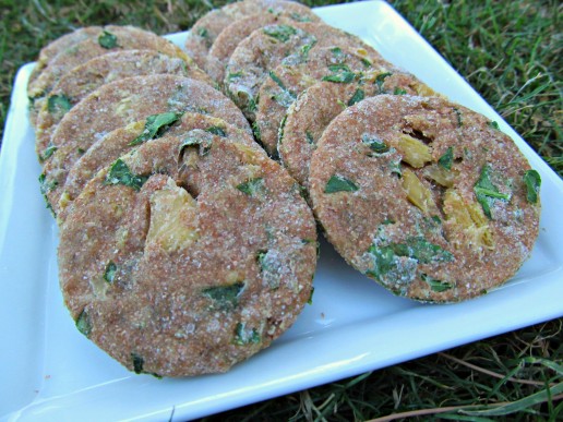 chicken kale dog treat/biscuit recipe