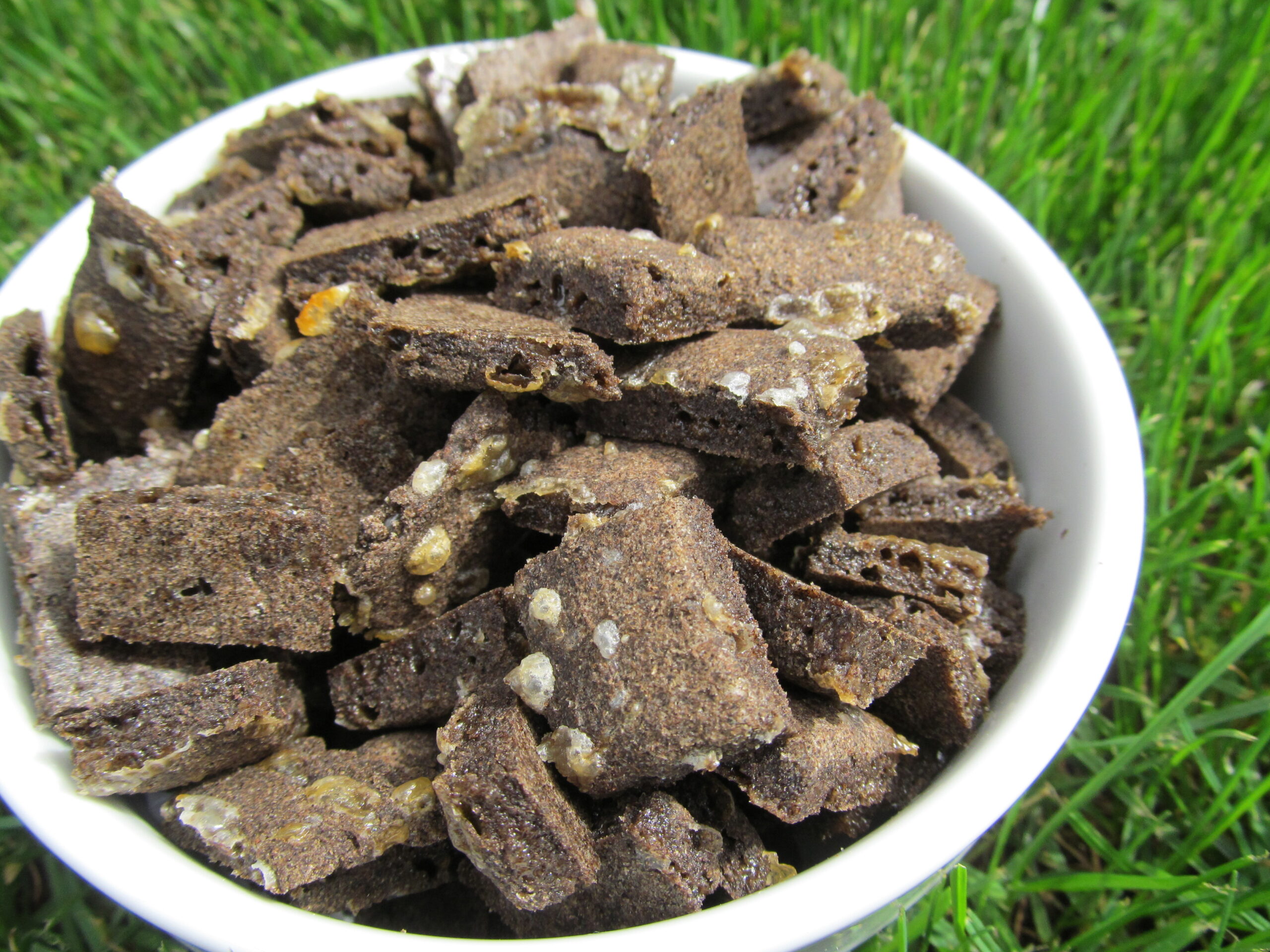 easy, cheesy and grain free dog treat/biscuit recipe