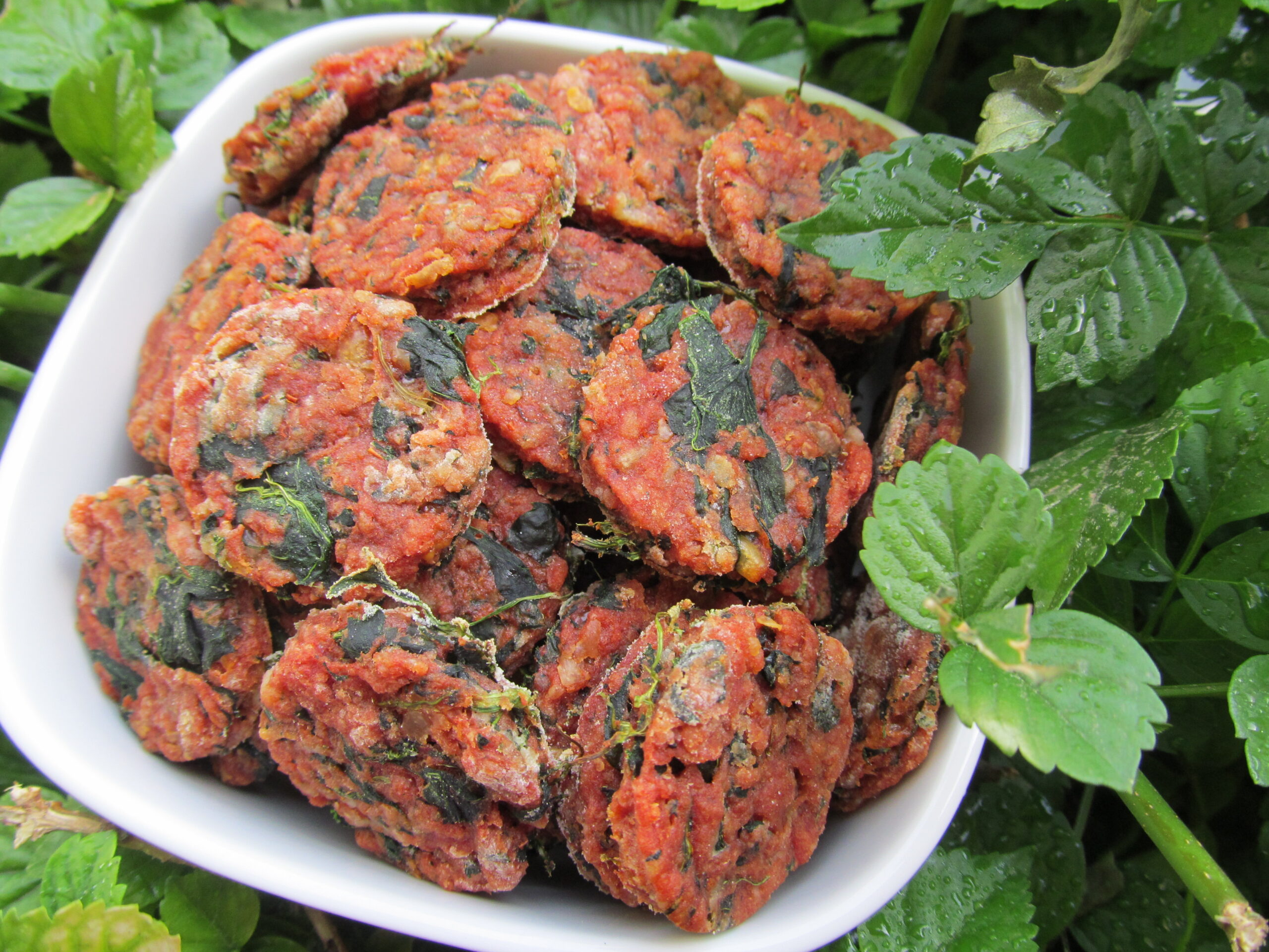 (grain and gluten-free) tomato spinach dog treat/biscuit recipe