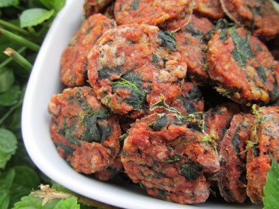 (grain and gluten-free) tomato spinach dog treat/biscuit recipe
