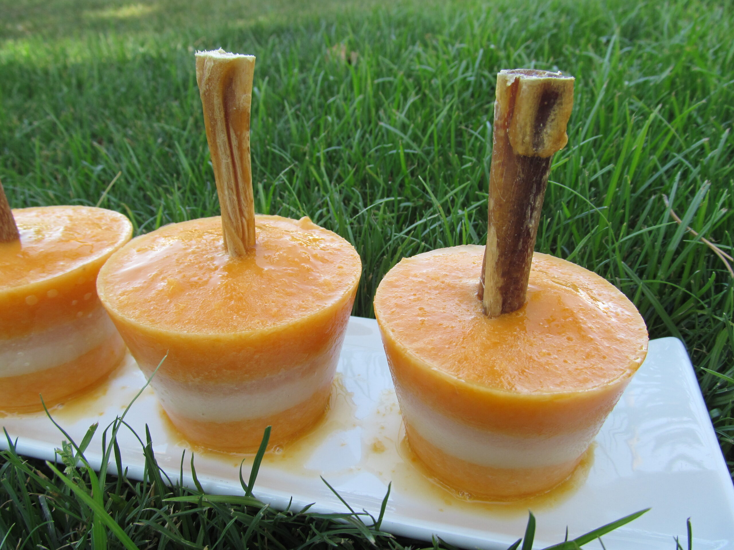 {BestBullySticks} tropical chicken pops