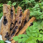 banana blueberry biscotti dog treat/biscuit recipe