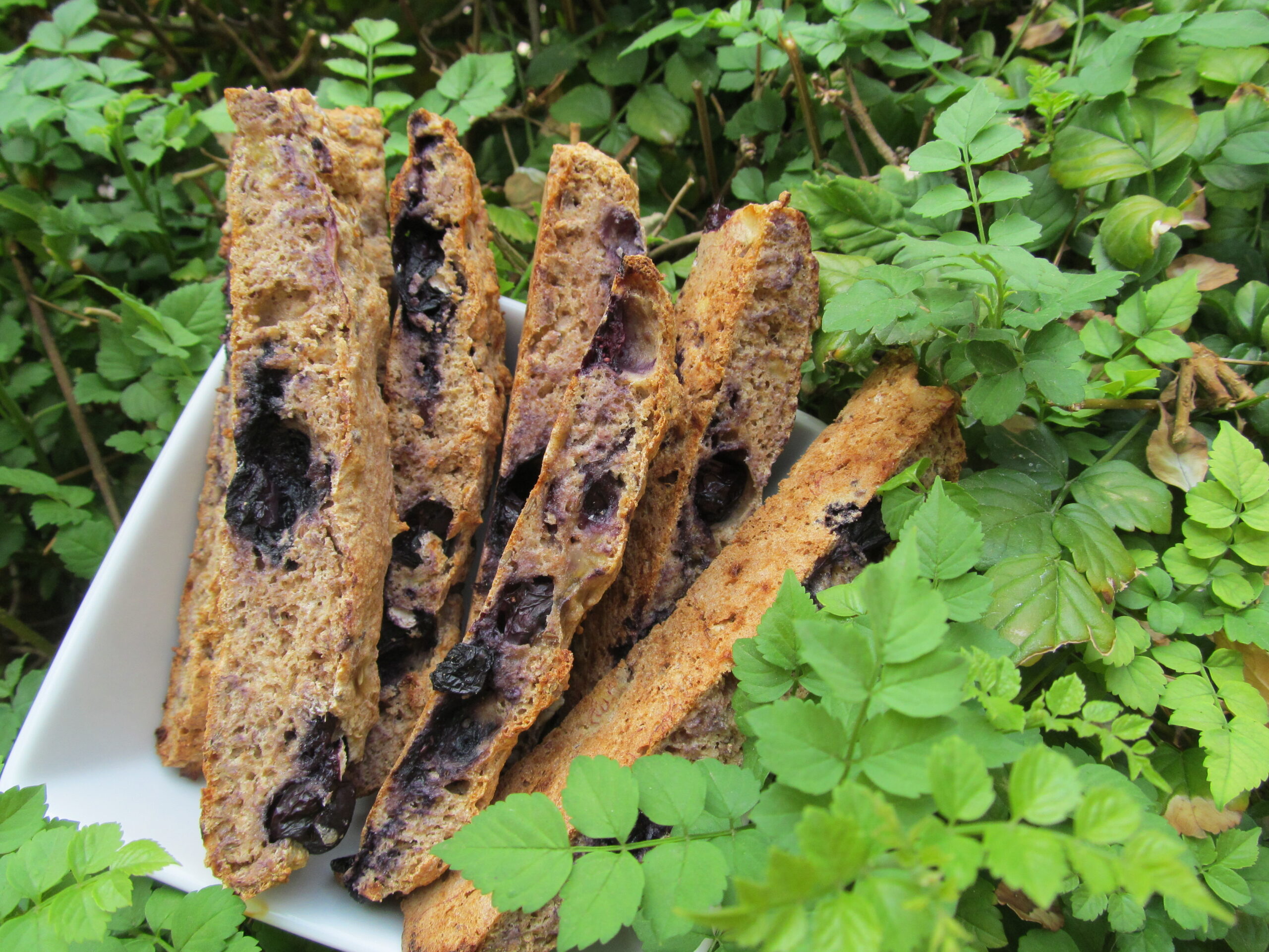 banana blueberry biscotti dog treat/biscuit recipe