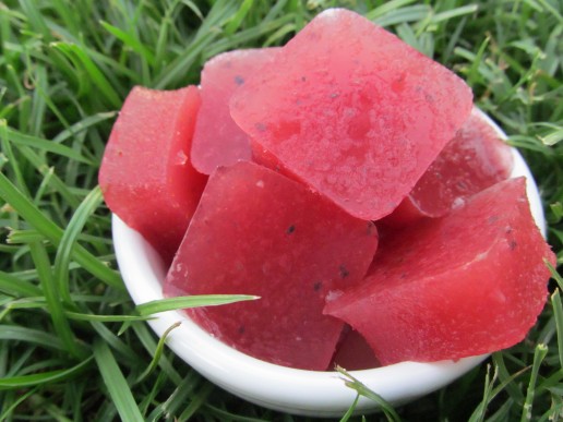 watermelon blueberry knox blox dog treat recipe