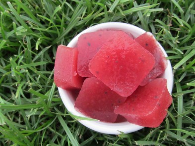 watermelon blueberry knox blox dog treat recipe