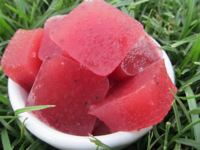 watermelon blueberry knox blox dog treat recipe