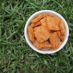 (wheat and gluten-free) hawaiian pizza dog treat/biscuit recipe