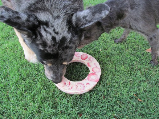 pb&j ice dog treat recipe