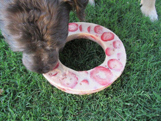 pb&j ice dog treat recipe