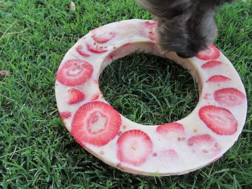 pb&j ice dog treat recipe