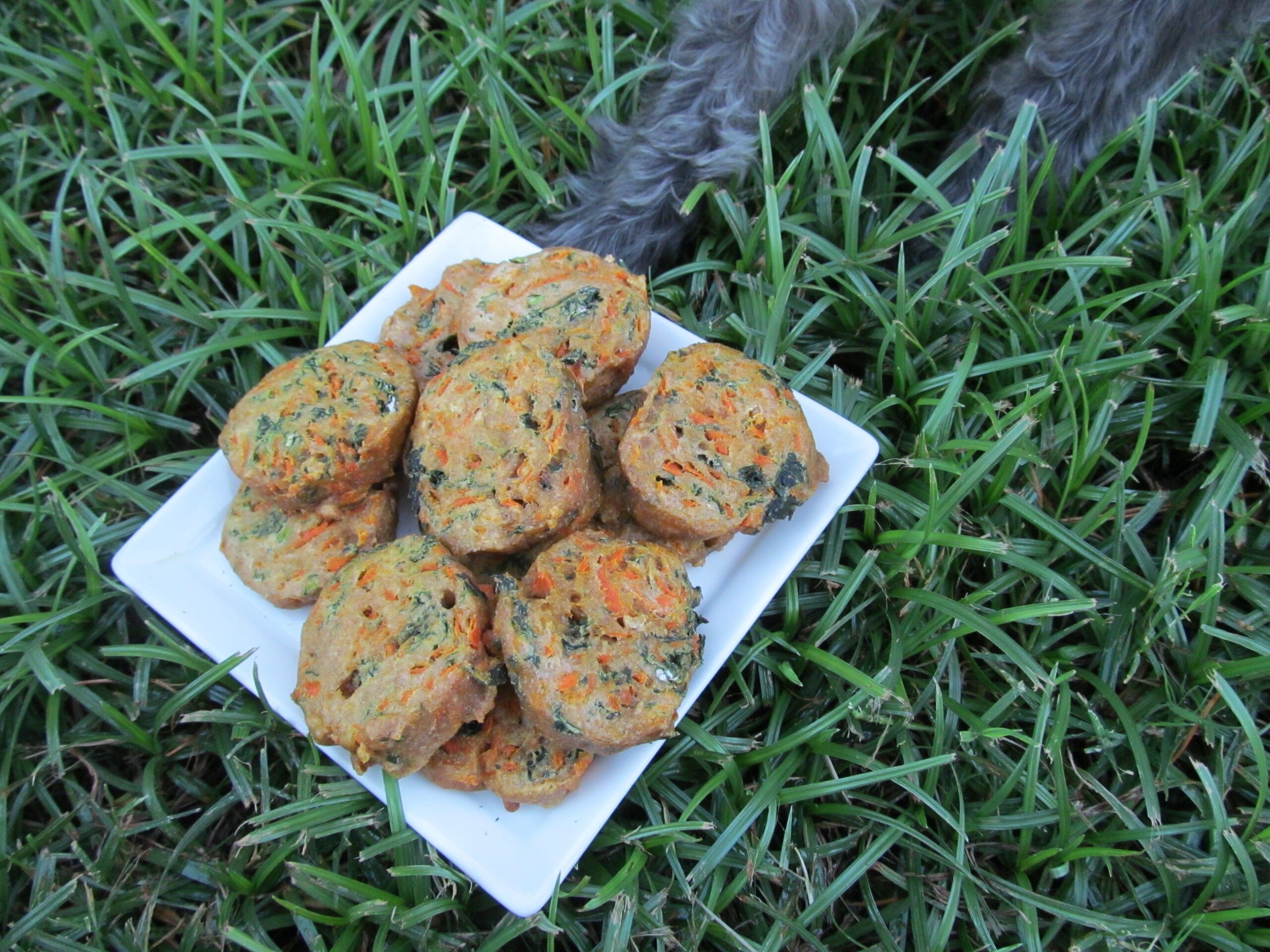 carrot & kale dog treat/biscuit recipe