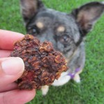 (wheat and gluten-free) strawberry carob oats dog treat/biscuit recipe