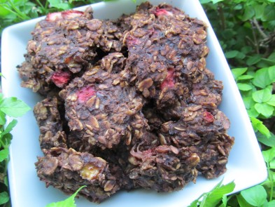 (wheat and gluten-free) strawberry carob oats dog treat/biscuit recipe