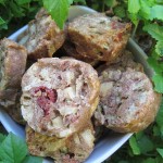 chicken, bacon & zucchini dog treat/biscuit recipe