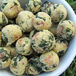 (gluten-free) bacon and kale dog treat/biscuit recipe