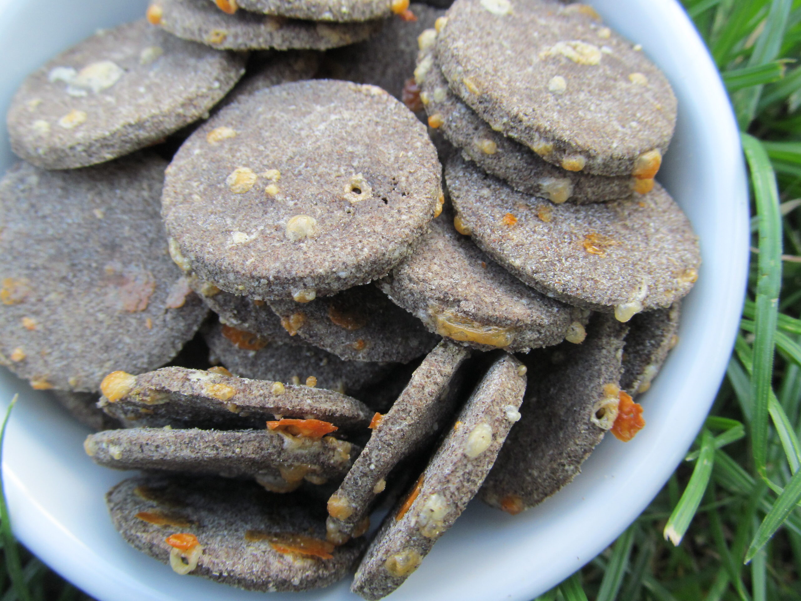 (wheat, grain and gluten-free) rosemary cheddar dog treat/biscuit recipe