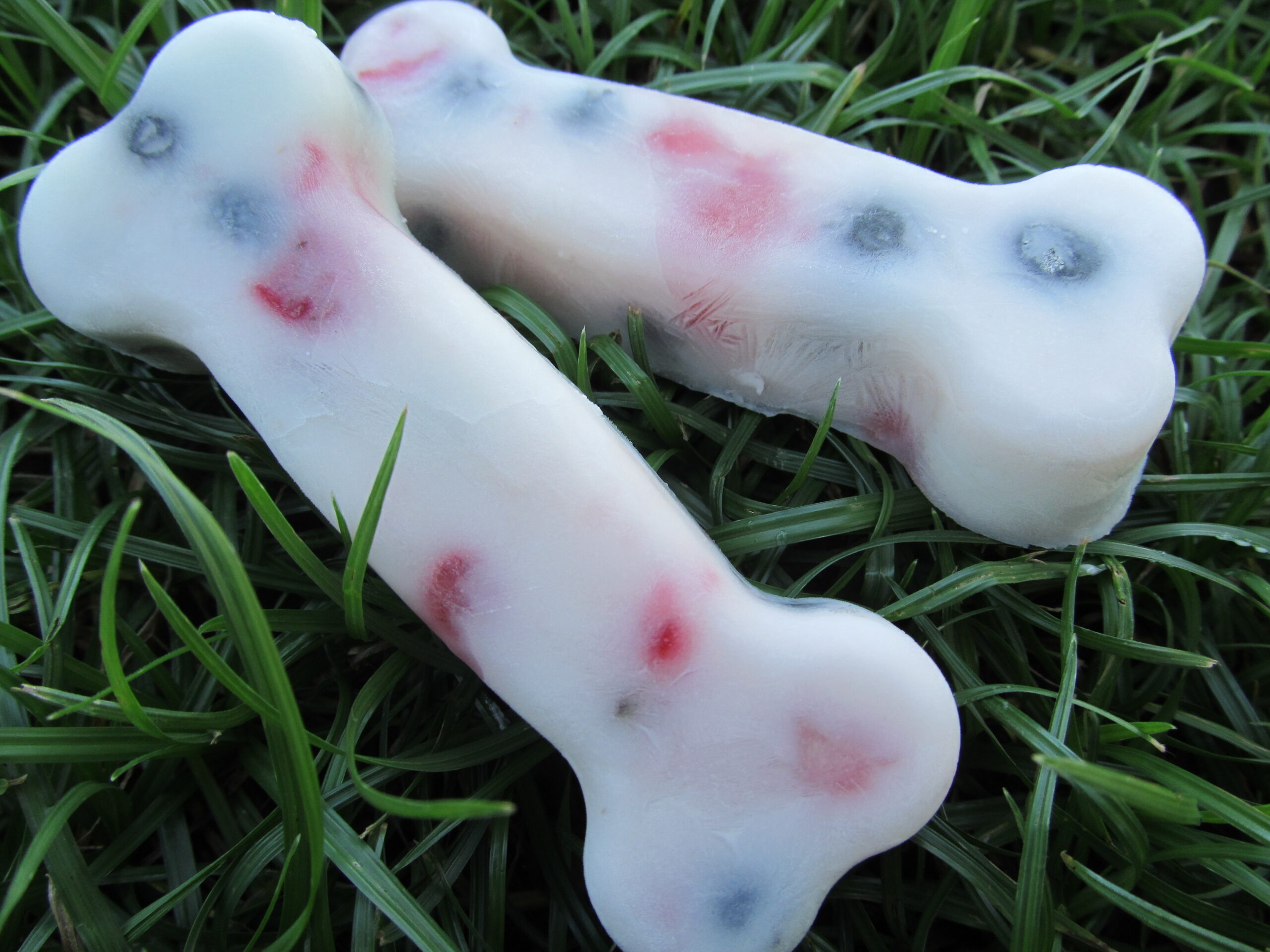 Blueberry yogurt hot sale dog treats