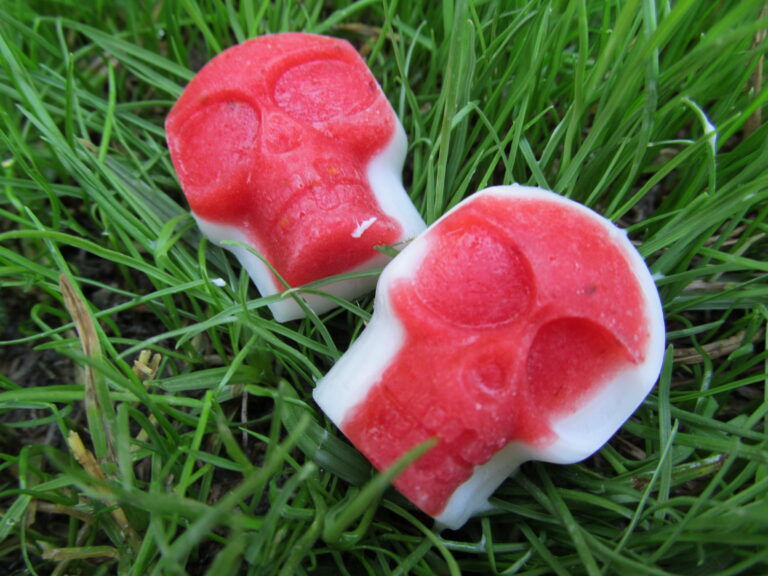 bloody skulls! (strawberry and coconut milk) dog treat recipe