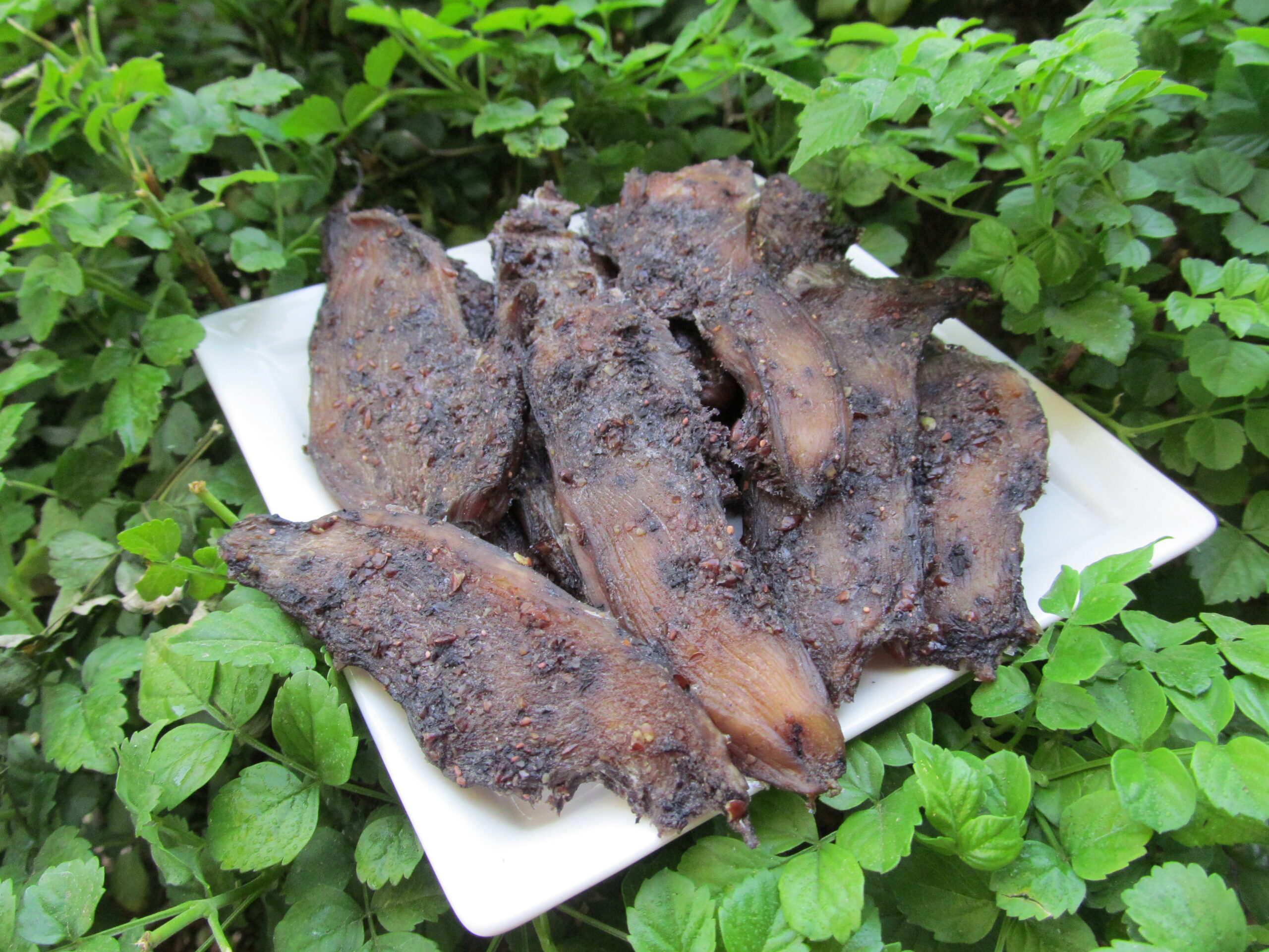 blueberry flaxseed jerky dog treat recipe