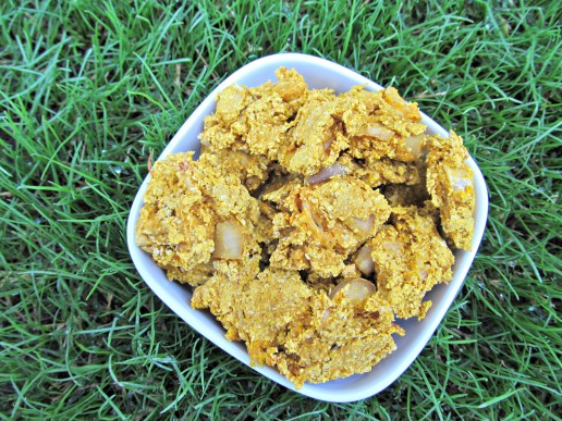(wheat and dairy-free) pumpkin pear chicken dog treat/biscuit recipe