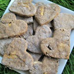 (grain, gluten and wheat-free) rosemary honey chicken dog treat/biscuit recipe