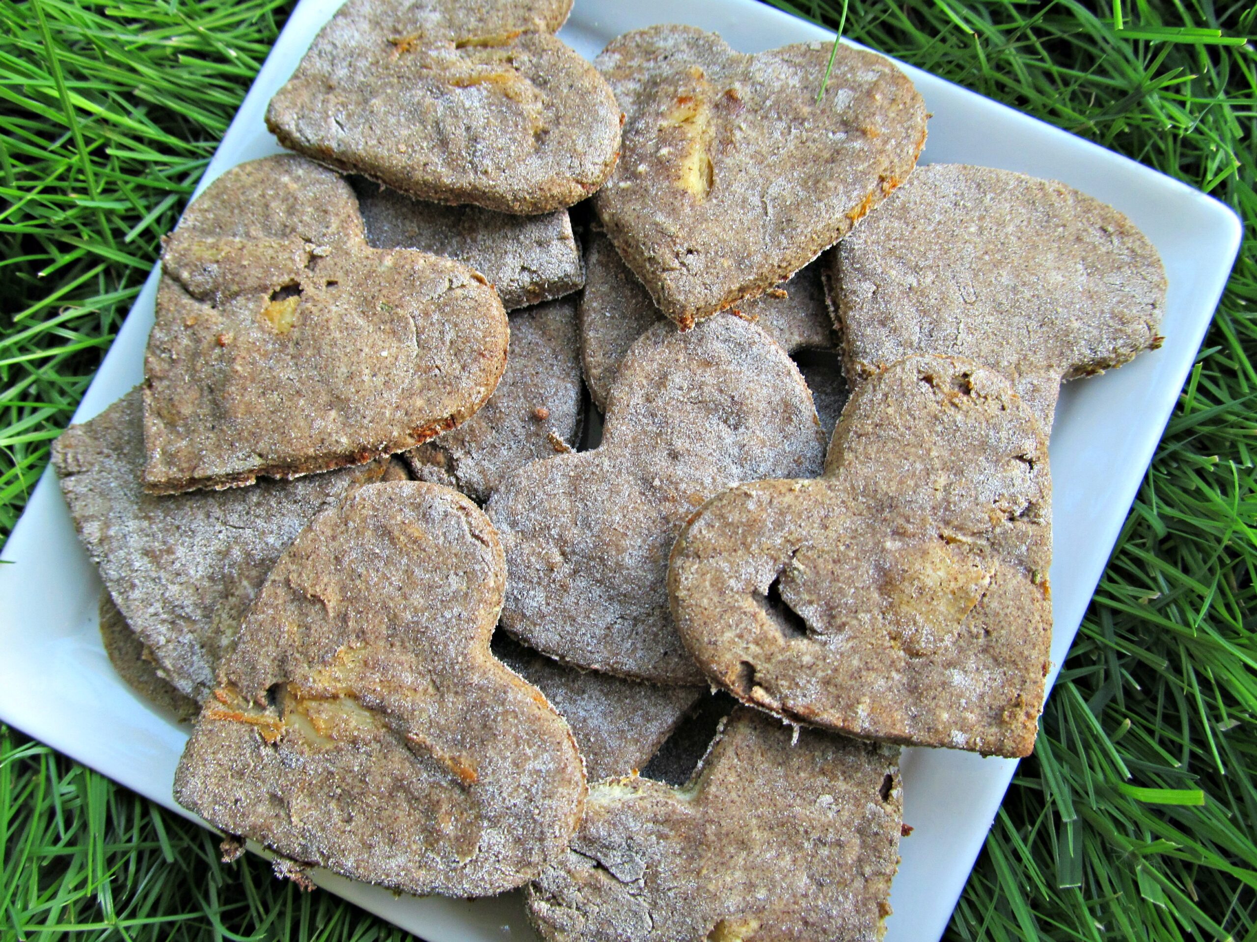 (grain, gluten and wheat-free) rosemary honey chicken dog treat/biscuit recipe