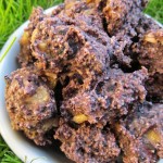 blueberry banana dog treat/biscuit recipe