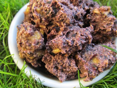 blueberry banana dog treat/biscuit recipe