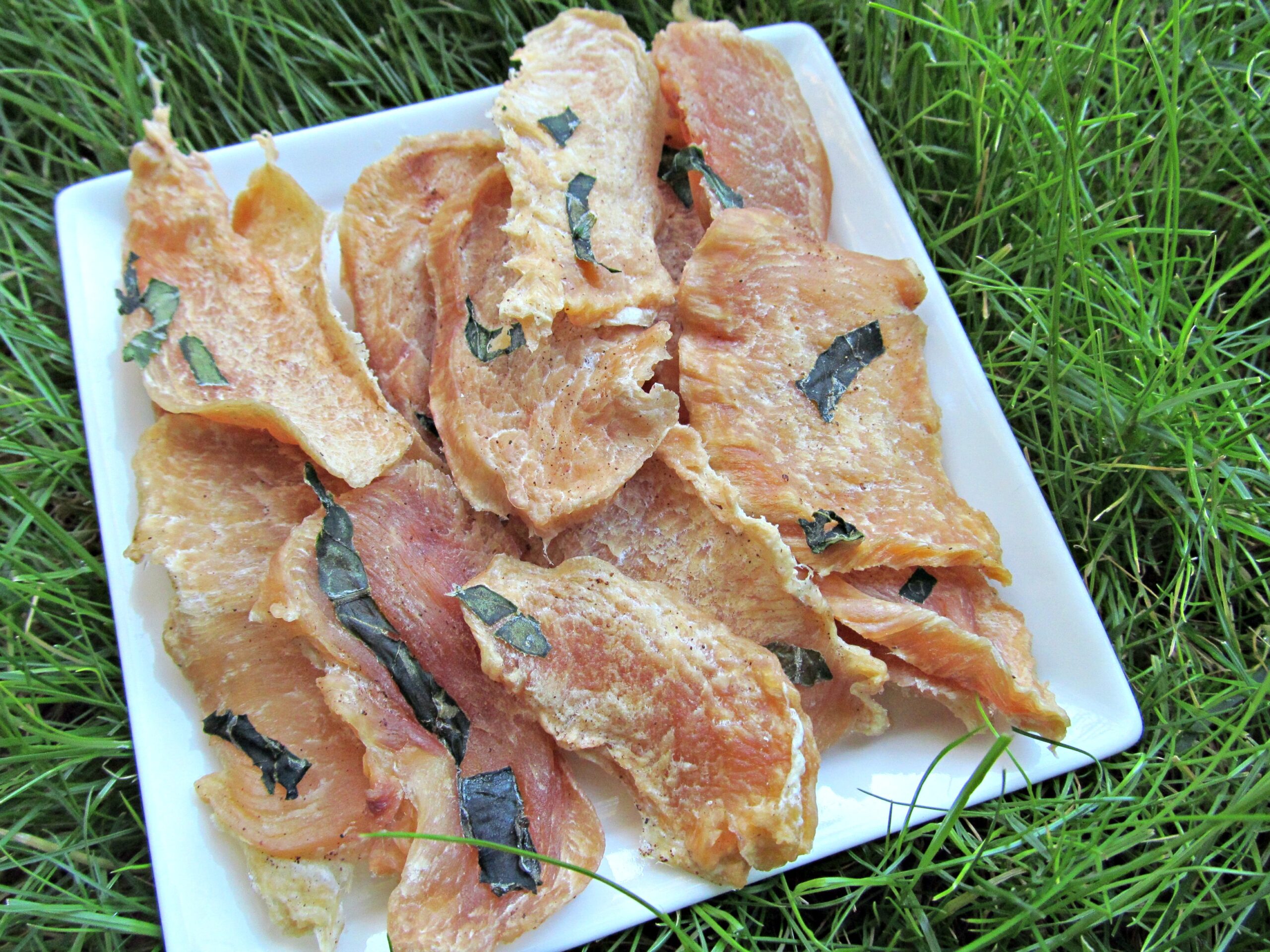 basil coconut chicken jerky dog treat recipe