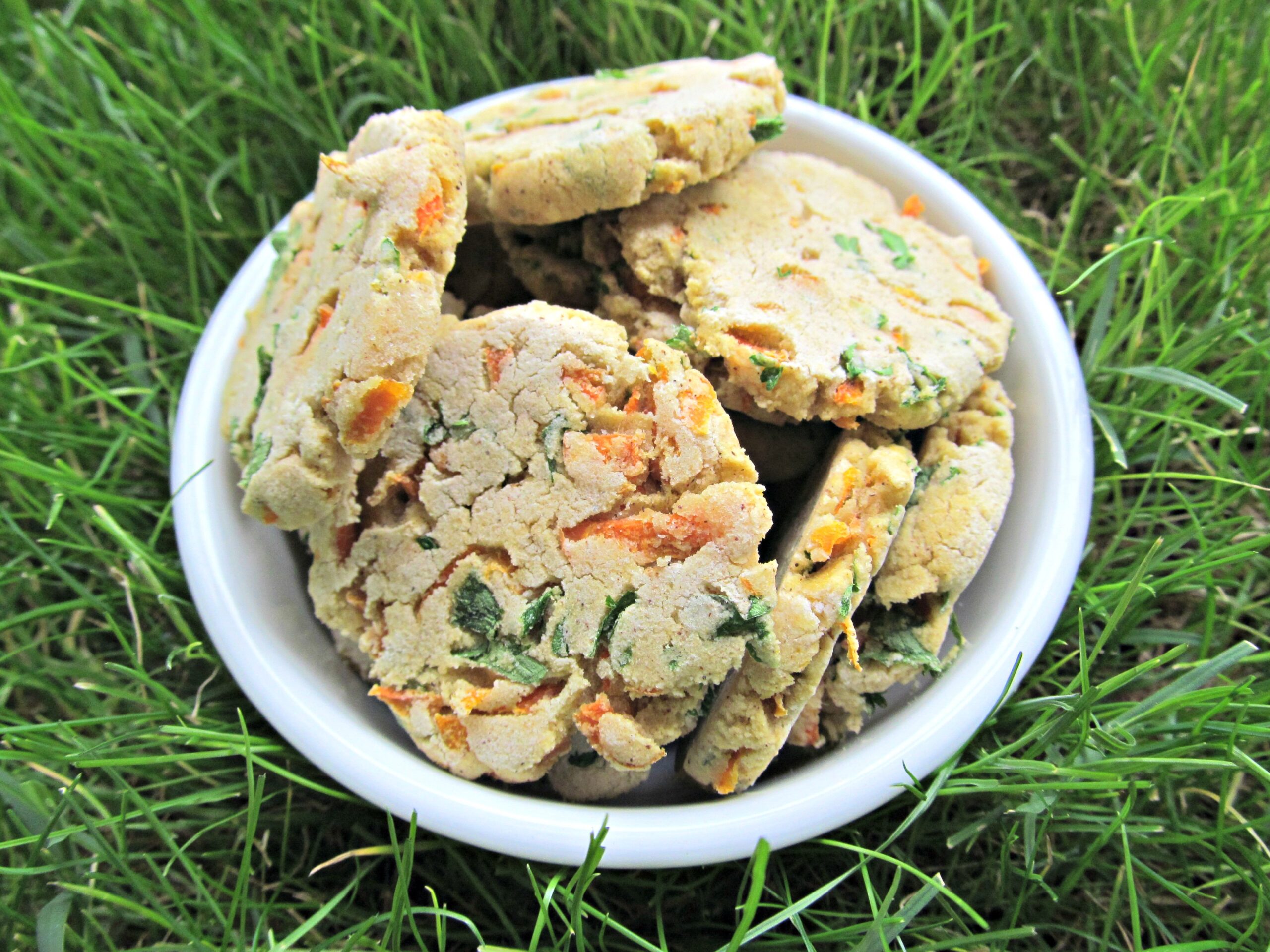 carrot & parsley dog treat/biscuit recipe