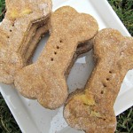 banana lime chicken dog treat/biscuit recipe