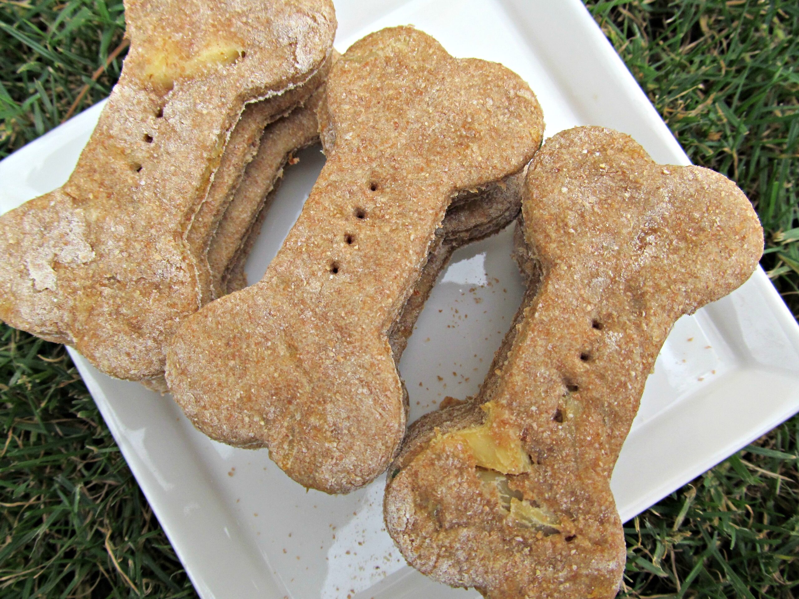 banana lime chicken dog treat/biscuit recipe