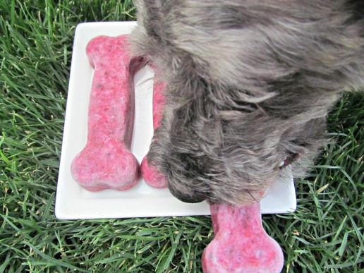 berry chicken pup-sicles dog treat recipe