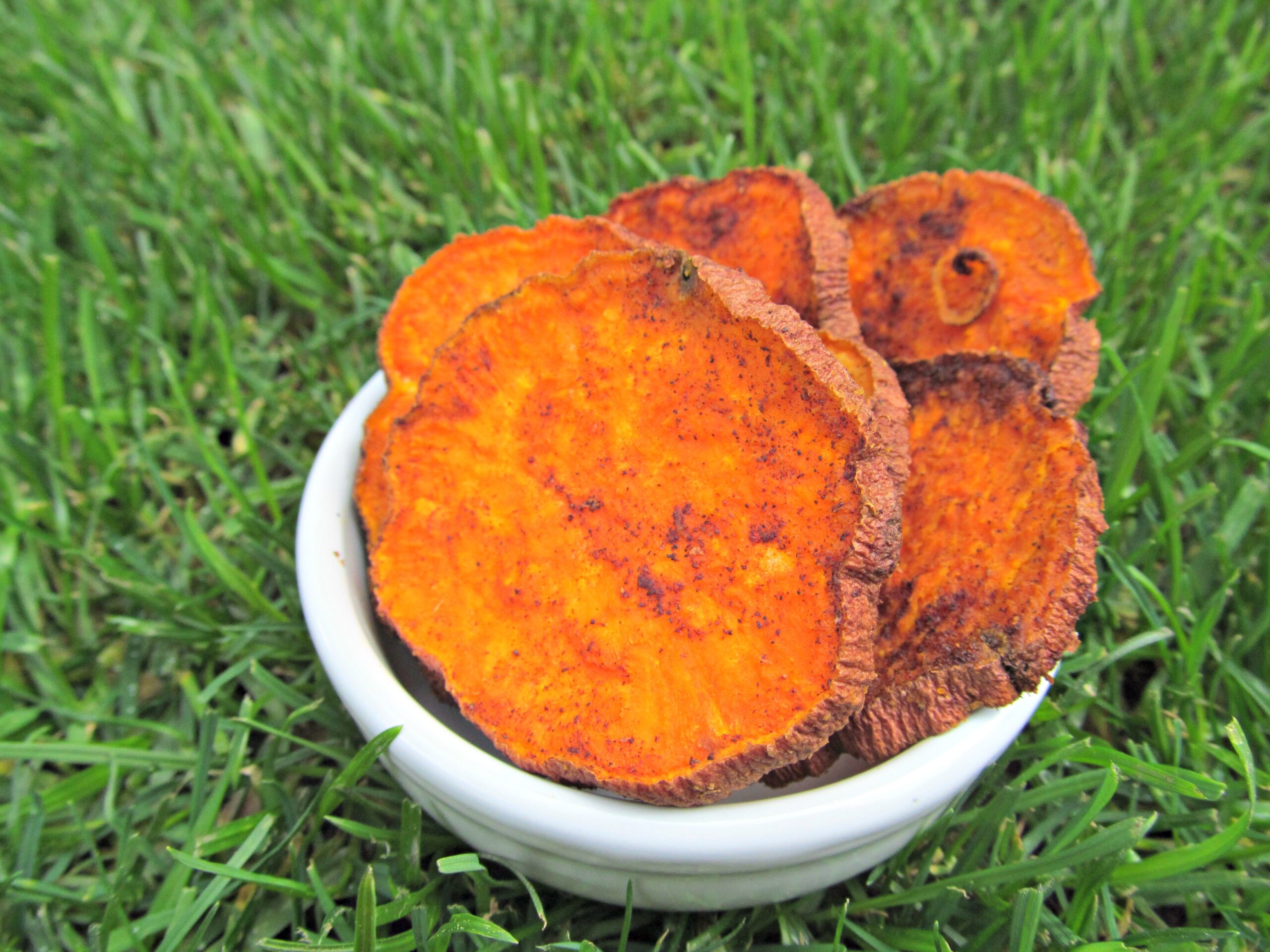 coconut cinnamon sweet potato chips treat recipe