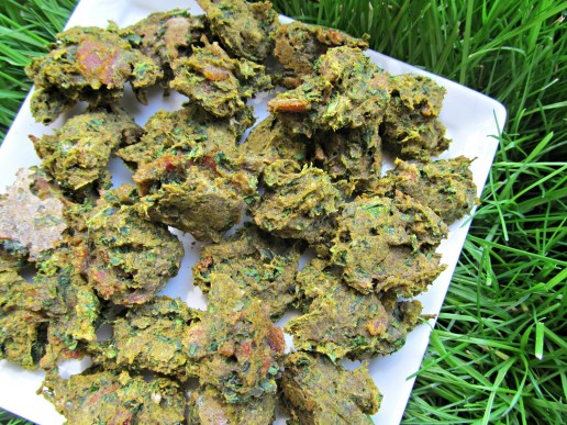 bacon kale pumpkin dog treat recipe