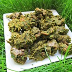 bacon kale pumpkin dog treat recipe