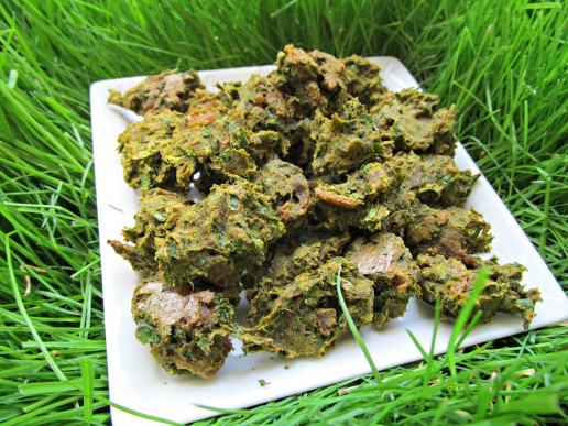 bacon kale pumpkin dog treat recipe