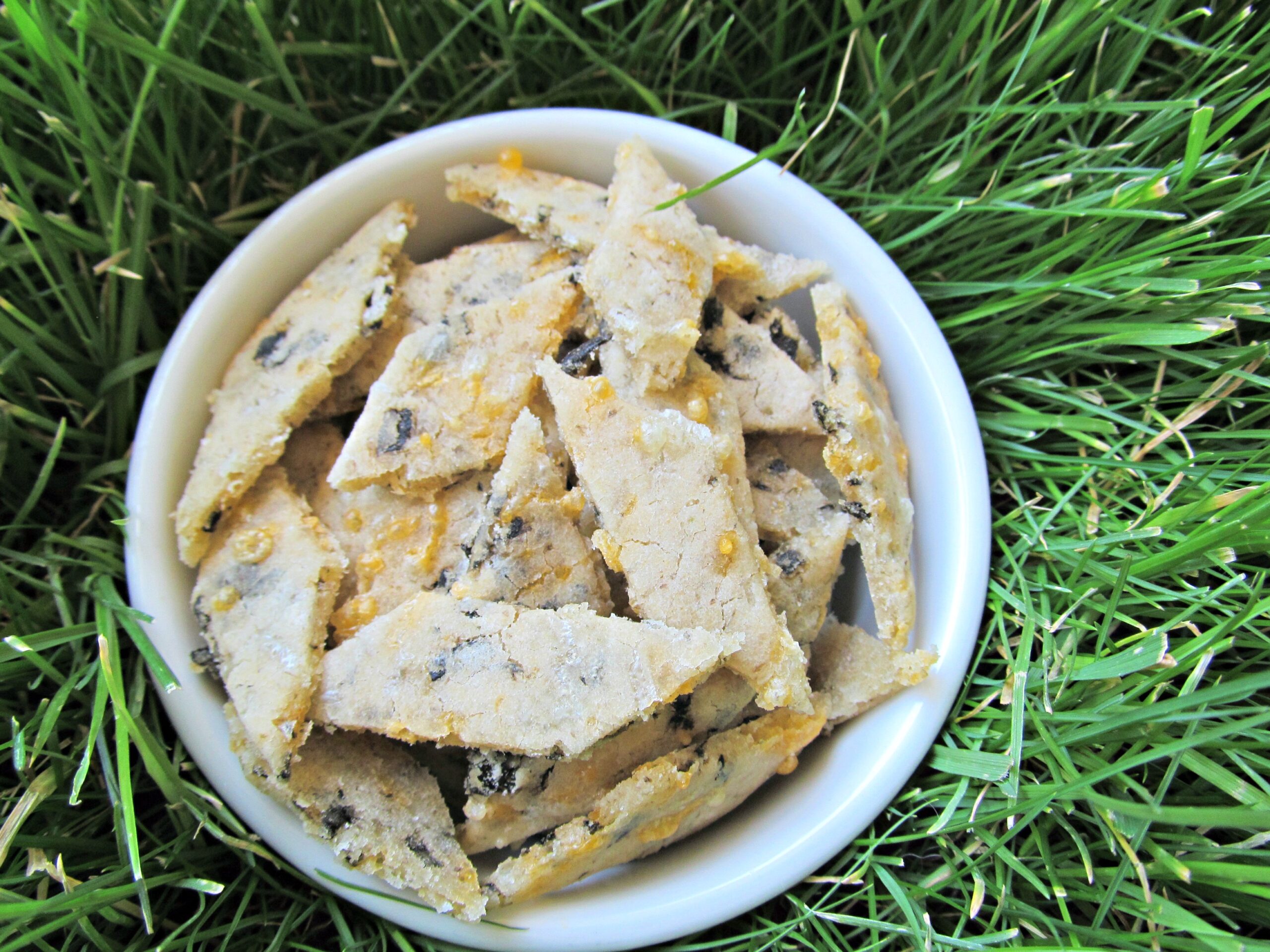 (gluten and wheat-free) cheddar seaweed dog treat recipe/biscuit