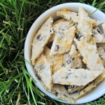 (gluten and wheat-free) cheddar seaweed dog treat recipe/biscuit