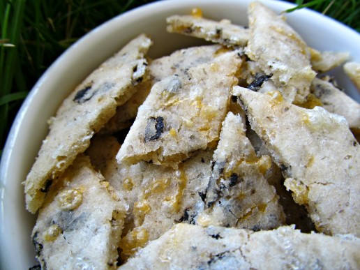 (gluten and wheat-free) cheddar seaweed dog treat recipe/biscuit