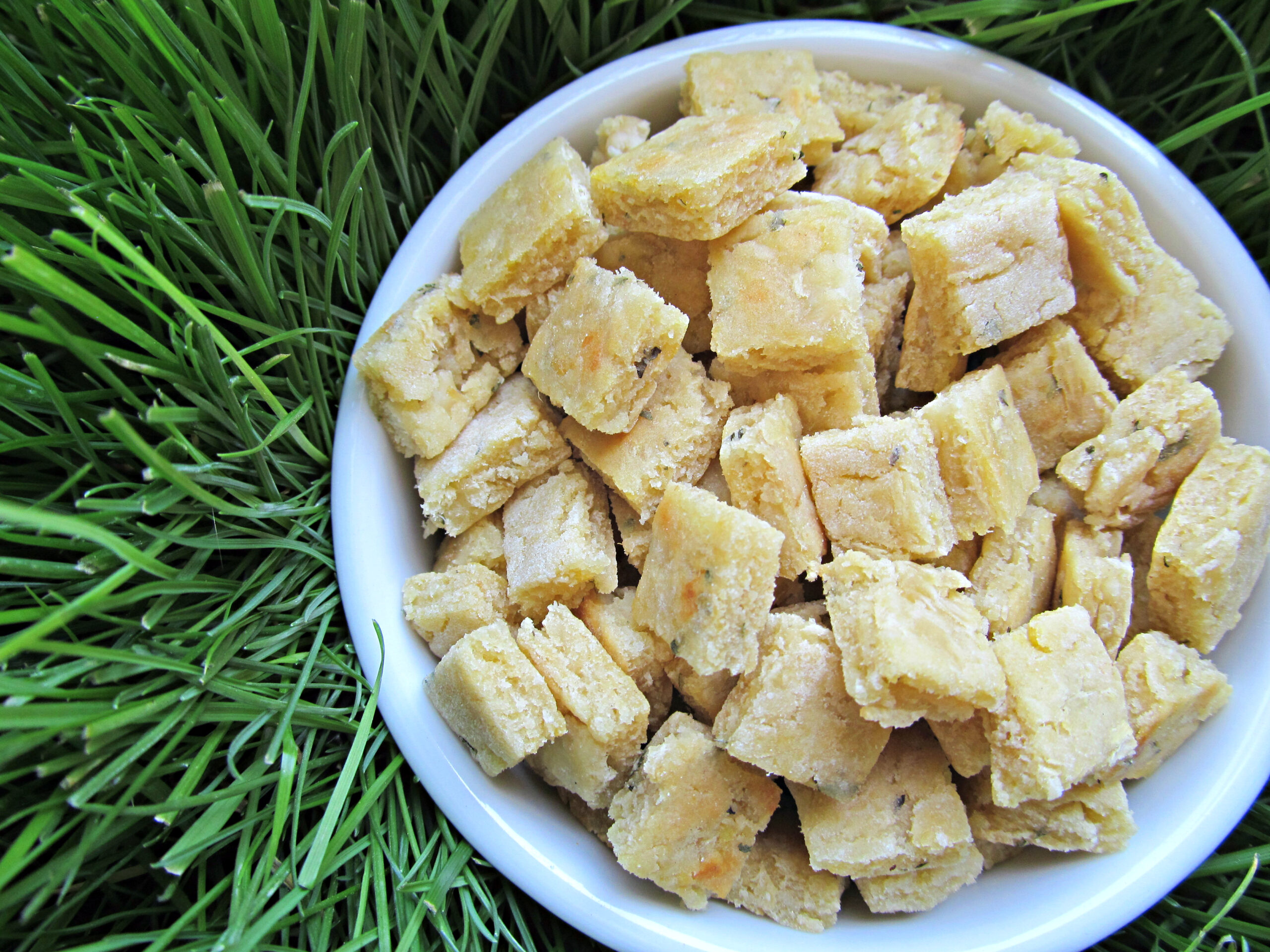 (dairy, wheat, gluten and grain-free) ginger chicken dog treat/biscuit recipe