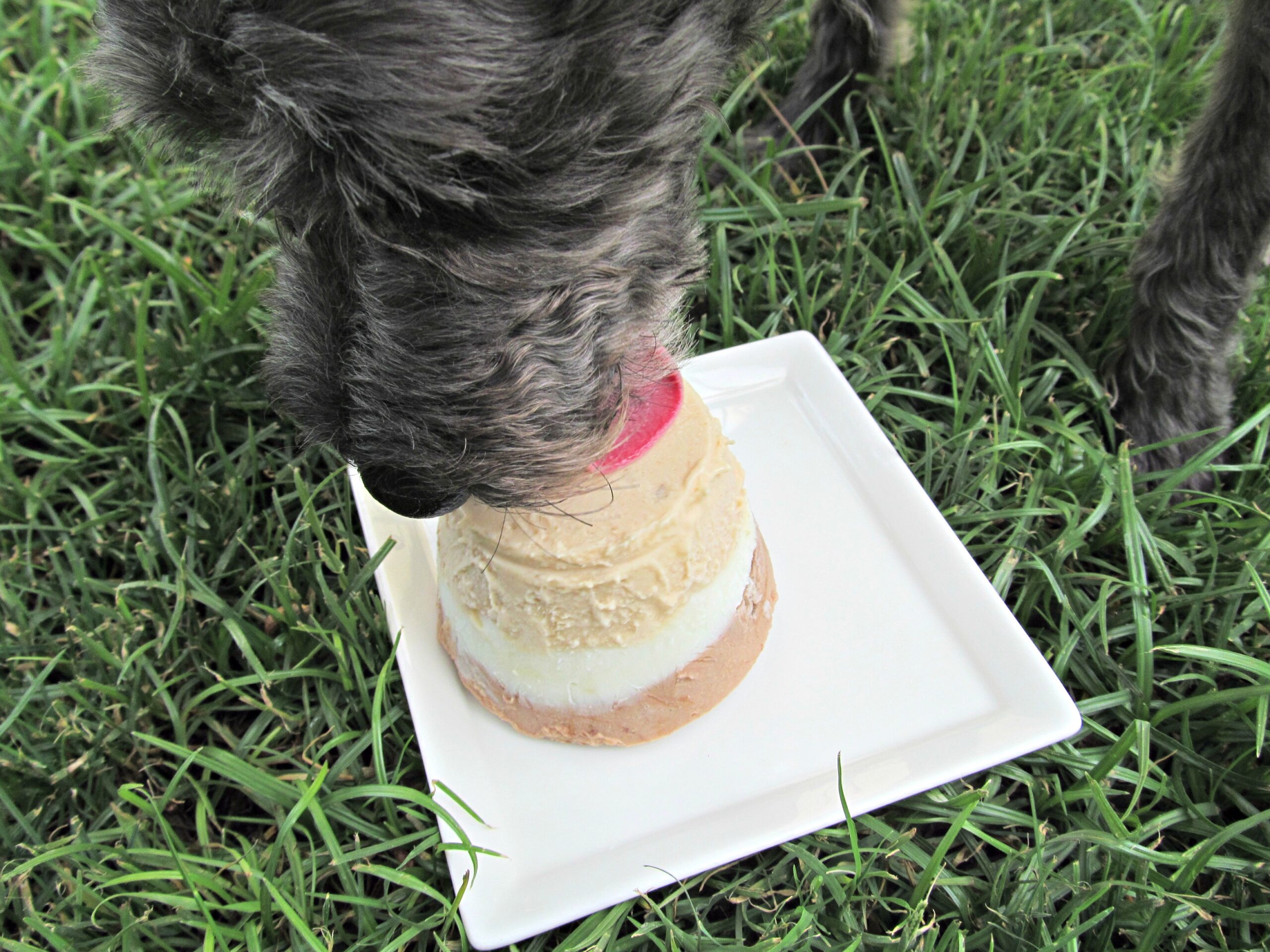 peanut butter banana carob dog treat recipe