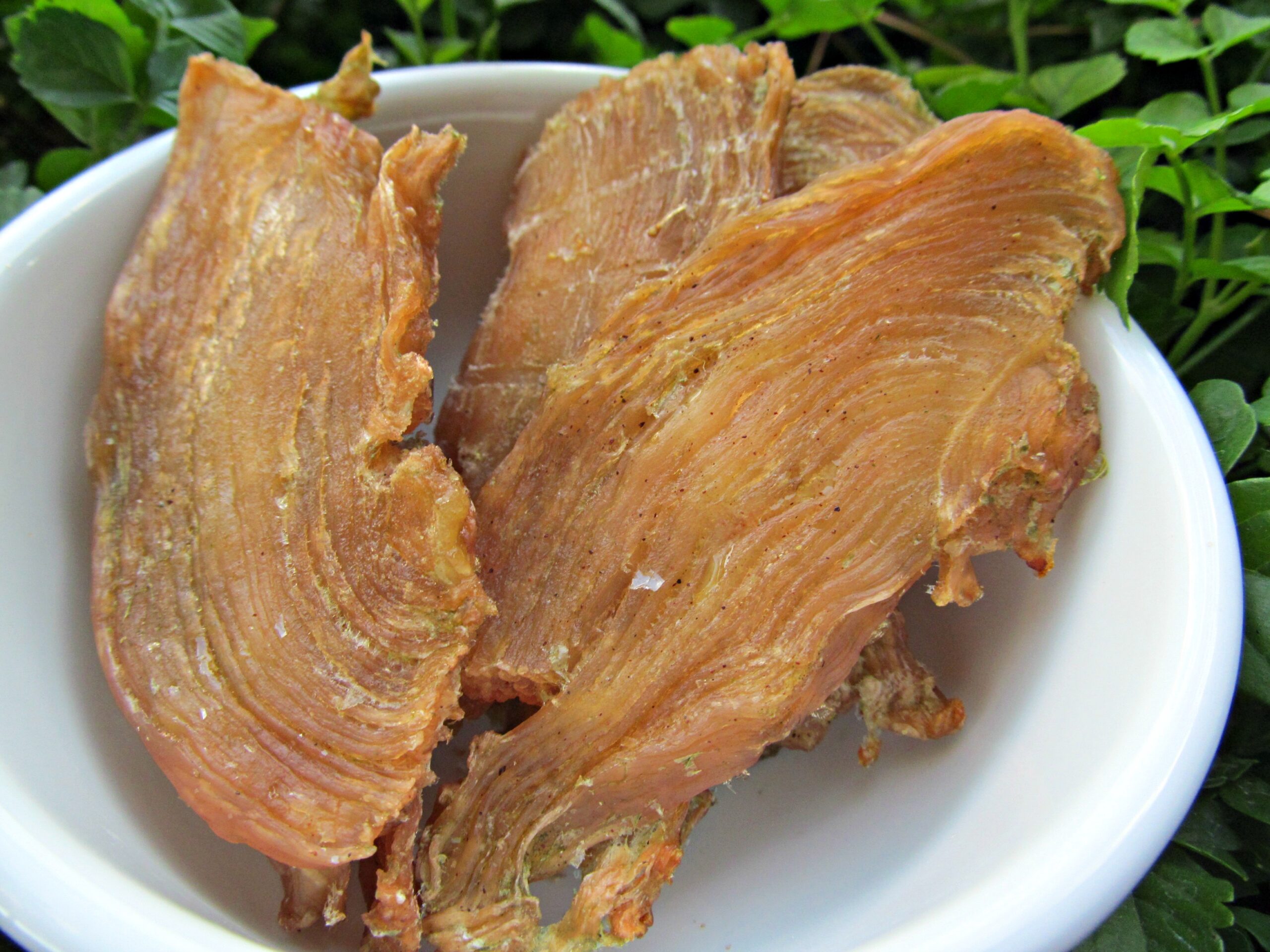 (dairy, wheat, gluten, grain-free) strawberry kale chicken jerky dog treat recipe