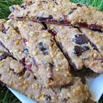 cranberry cheddar dog treat/biscuit recipe