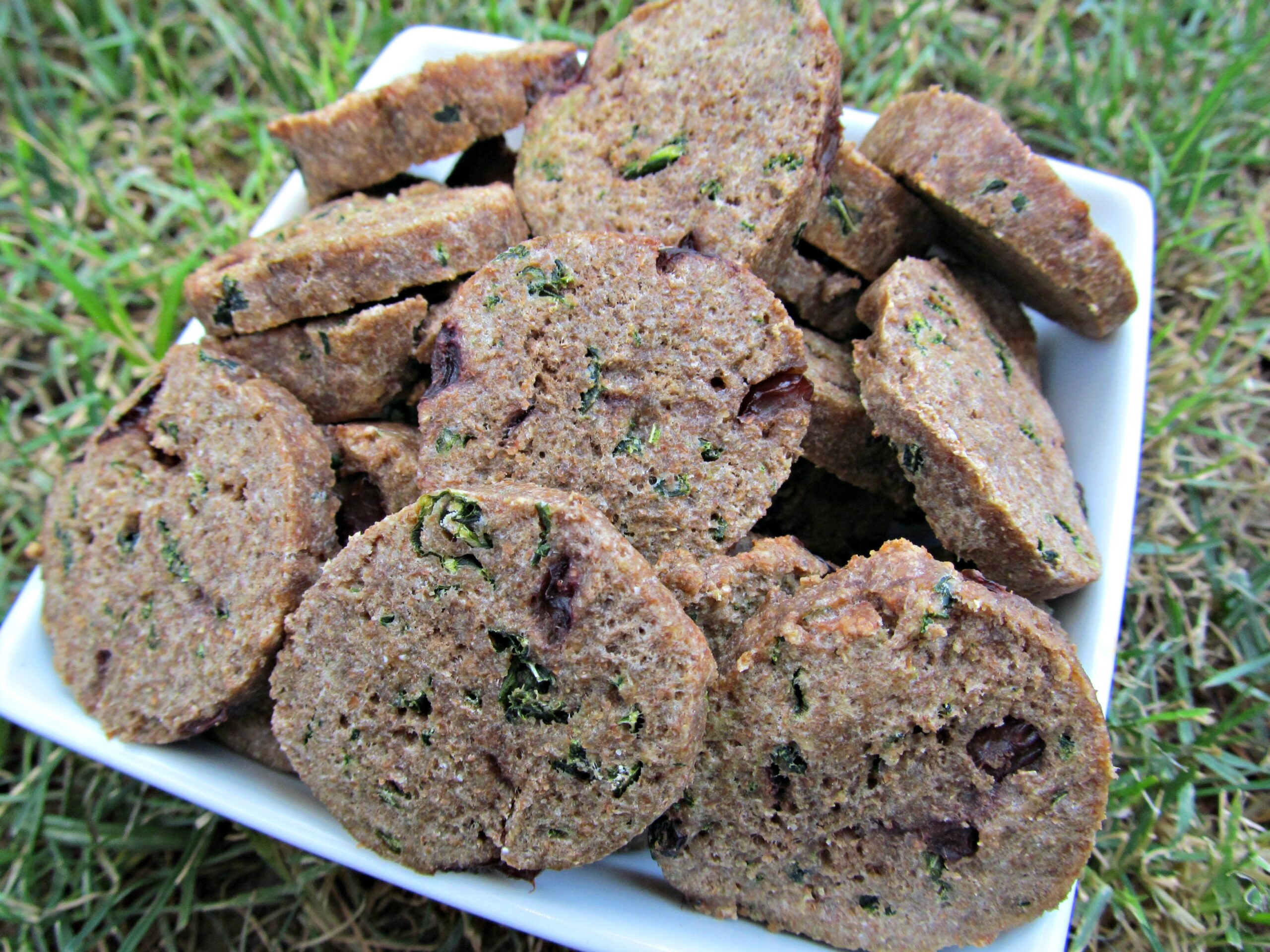 (dairy-free) cherry kale turkey dog treat/biscuit recipe