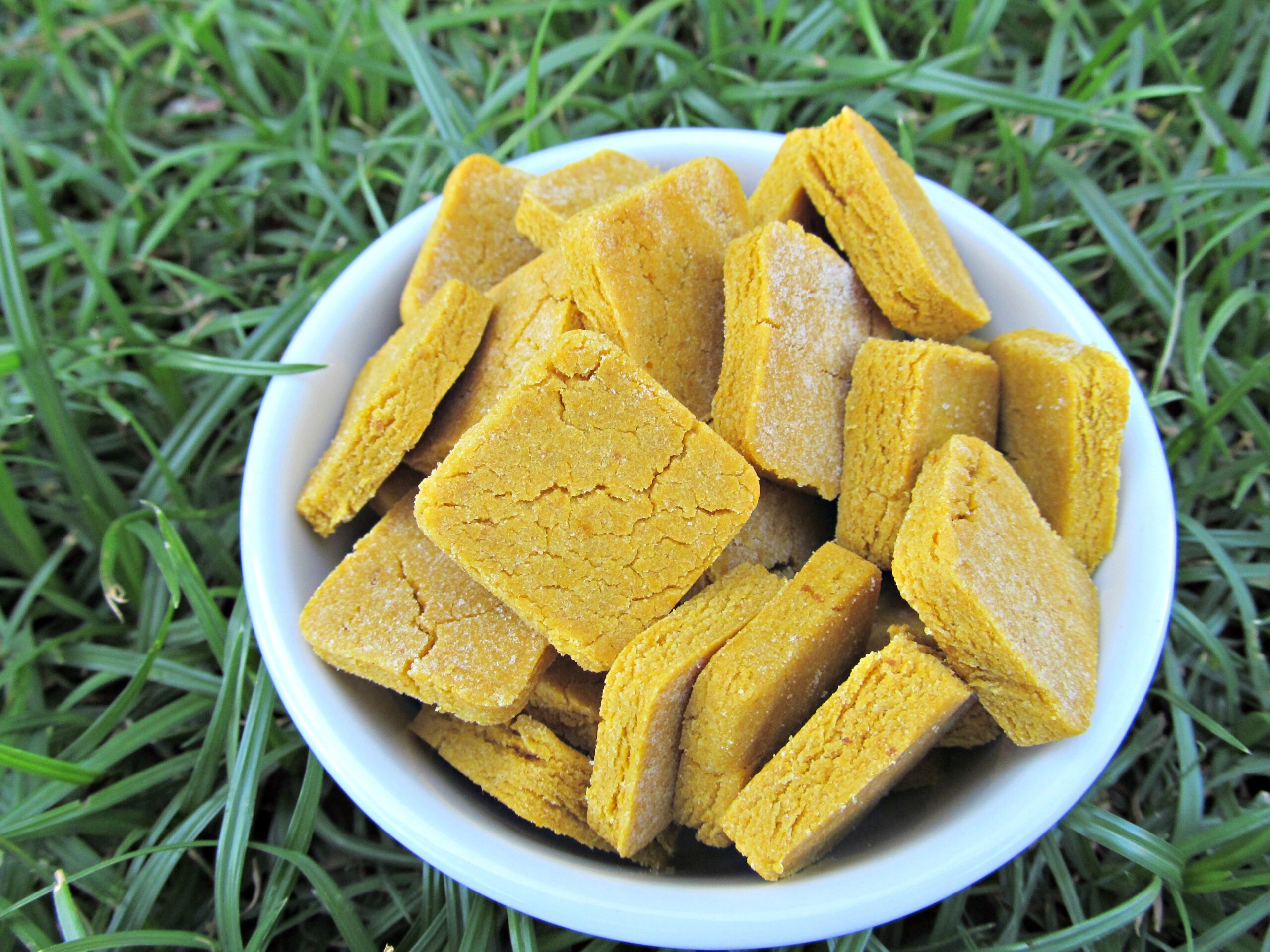 easy peasy peanut butter pumpkin dog treat/biscuit recipe