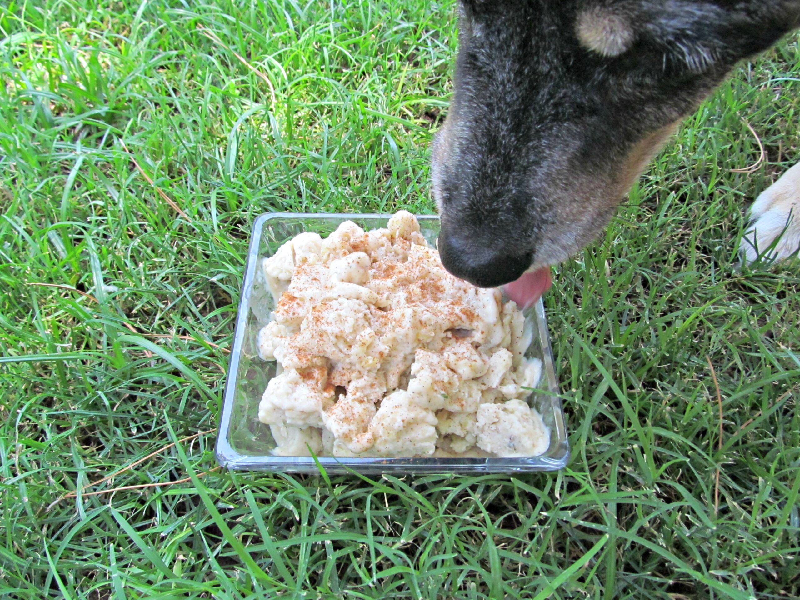 mint pineapple banana dog treat recipe