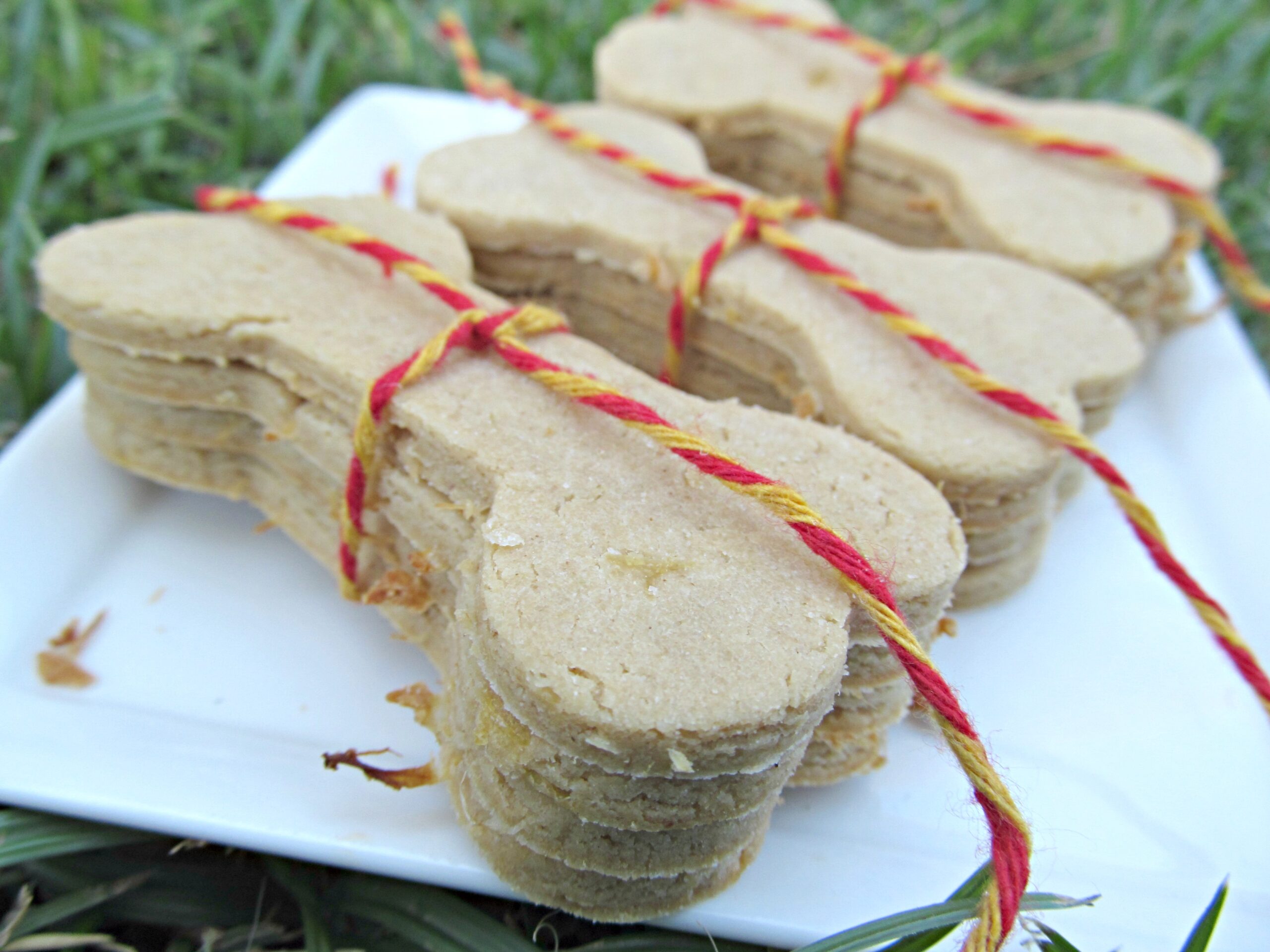 (gluten, wheat, dairy-free, vegan, vegetarian) pine-apple peanut butter dog treat/biscuit recipe