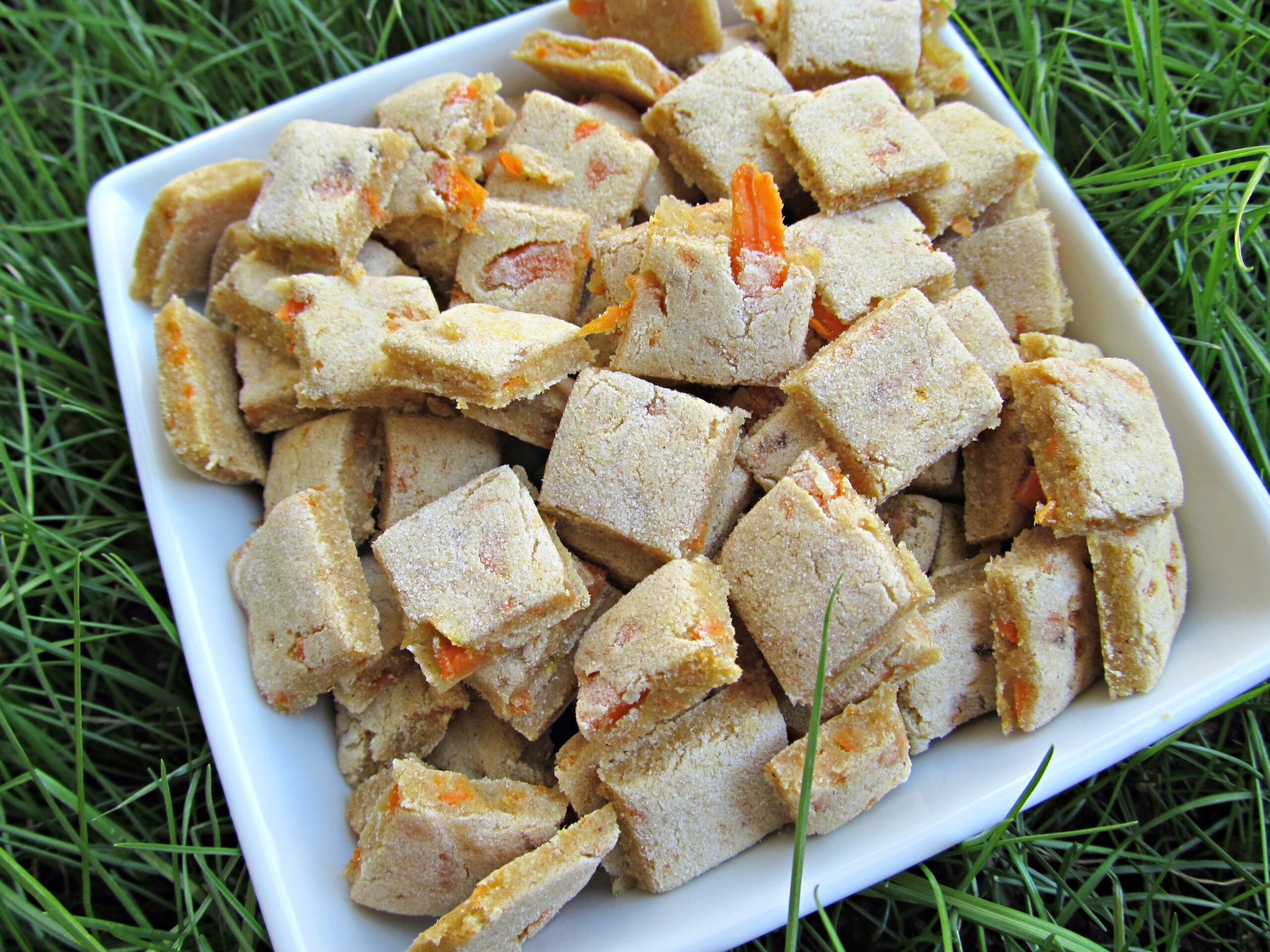 (dairy, wheat and gluten-free, vegan , vegetarian) carrot banana dog treat/biscuit recipe