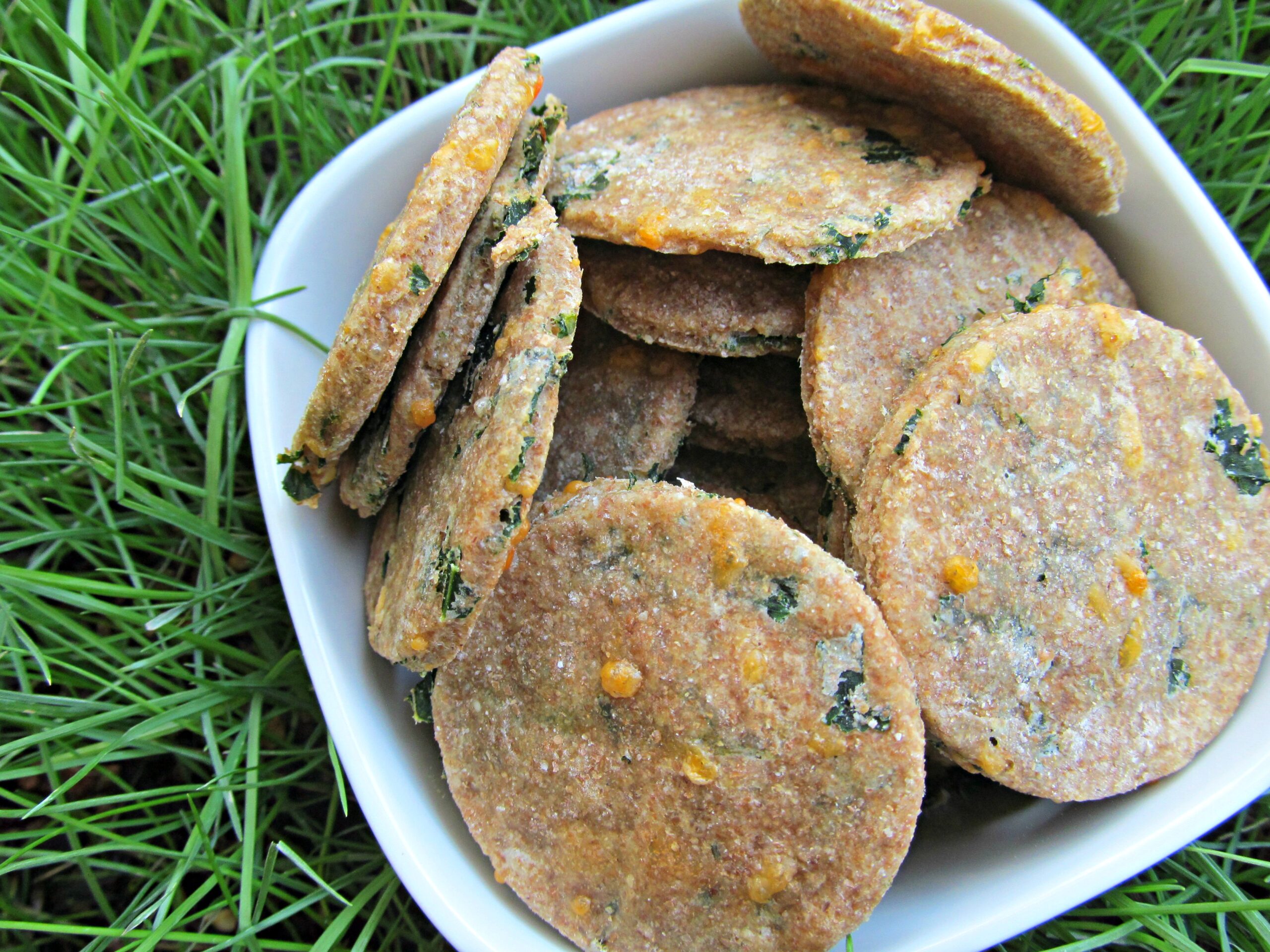 cheddar rosemary kale dog treat/biscuit recipe